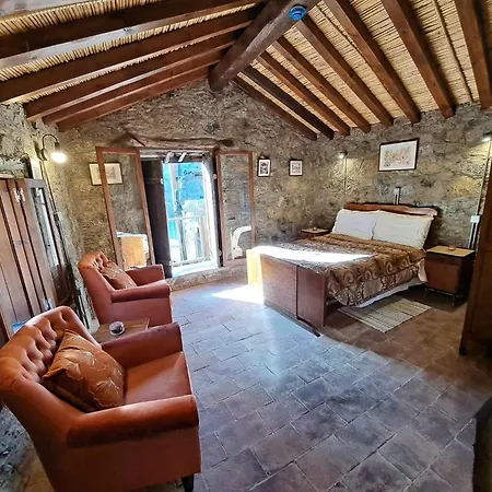 Pitharia Landsted Askas