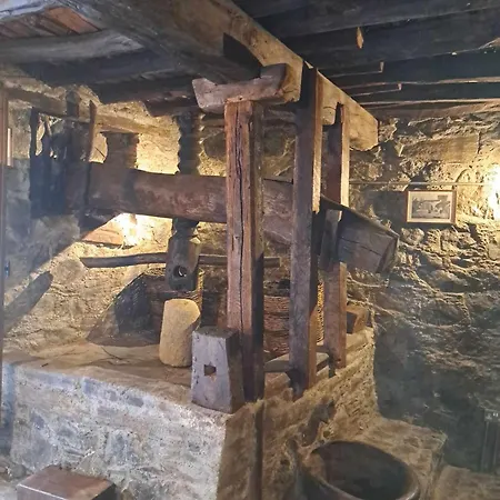 Pitharia * אסקאס