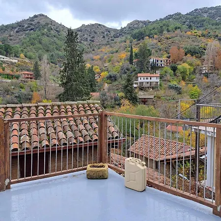 Pitharia 아스카스